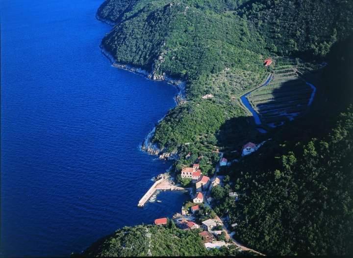 Izabela Apartment With Swimming Pool Babino Polje Εξωτερικό φωτογραφία